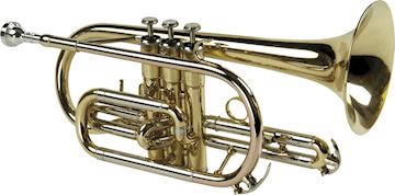 Sml - bb cornet gelakt