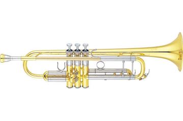 Yamaha - xeno ml boring yellowbrass gelakt
