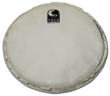 Toca - tp-fhm12 12" goatskin head for mechanically tuned djembe