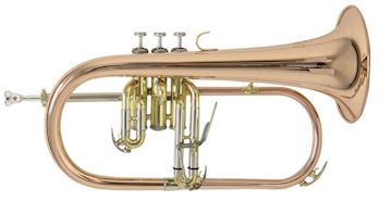 Vincent bach - bugel fh501 gelakt