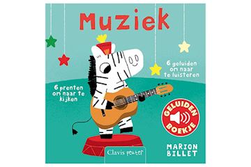 Boek - muziek geluidenboekje marion billet