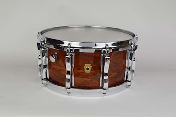 Ludwig - legacy exotic snare 6.5x14 sumauma supernatural